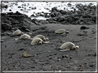 foto Parco nazionale Vulcani delle Hawaii